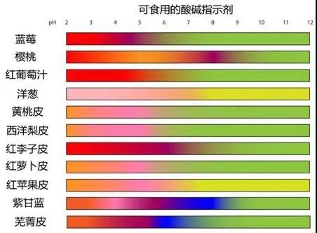 CPS Program III|感受實(shí)驗(yàn)之趣 ，走進(jìn)化學(xué)之美！(圖5)