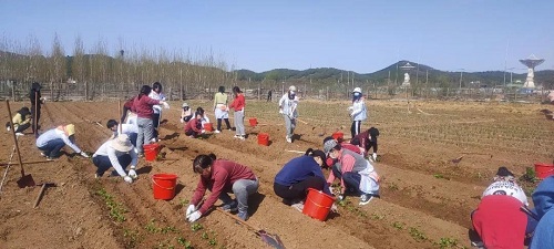 歡樂農(nóng)場，青春作伴|力邁中美國際學(xué)校班主任黨史培訓(xùn)團(tuán)建活動(dòng)(圖18)