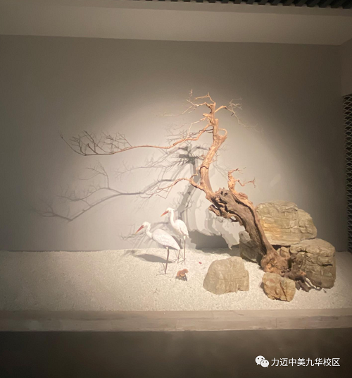 徽風(fēng)皖韻?家國情懷 | 力邁高中安徽研學(xué)第一站：黃山雕刻博物館(圖9)