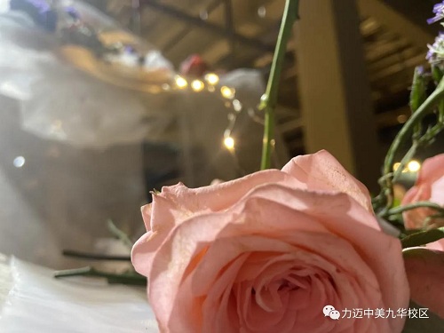 Wonder Land|力邁中美國際學(xué)校高中校區(qū)首屆藝術(shù)展圓滿成功(圖20)