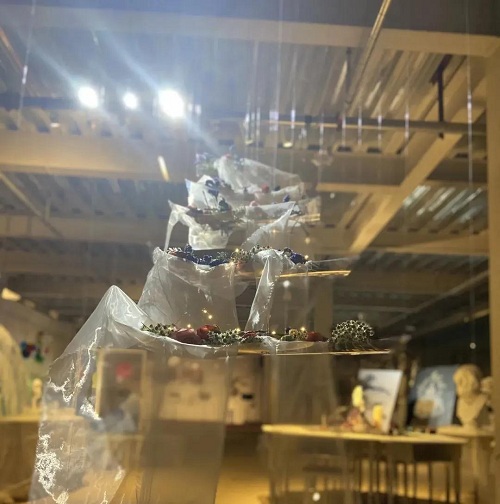 Wonder Land|力邁中美國際學(xué)校高中校區(qū)首屆藝術(shù)展圓滿成功(圖21)