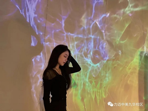 Wonder Land|力邁中美國際學(xué)校高中校區(qū)首屆藝術(shù)展圓滿成功(圖30)