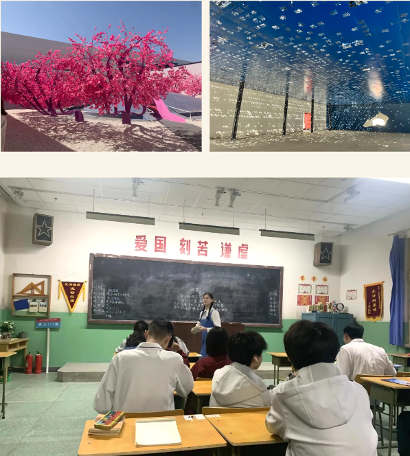 Limai School Field Trip | 歷史文學(xué)照進(jìn)現(xiàn)實(shí)，樂高化身“三頭六臂”，力邁春季實(shí)踐活動(dòng)之聚焦人文科學(xué)！(圖12)