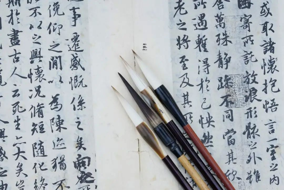 Congratulation ▏榮譽(yù)是成績(jī)也是號(hào)角，全體師生共創(chuàng)未來(圖19)
